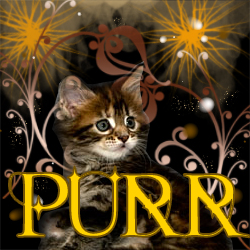www.bglradio.net/djbanners/center-purr.jpg