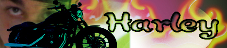 www.bglradio.net/djbanners/harley.jpg